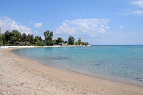 Angela's Seaview Apartment