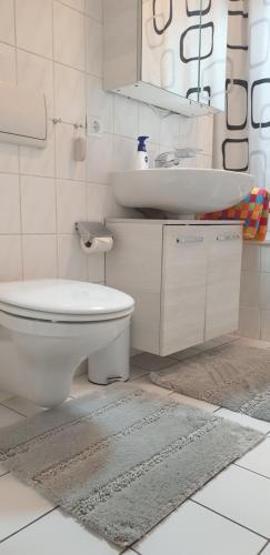 een badkamer met een toilet en een wastafel bij Ferienwohnung Dreiländereck 1 in Lörrach