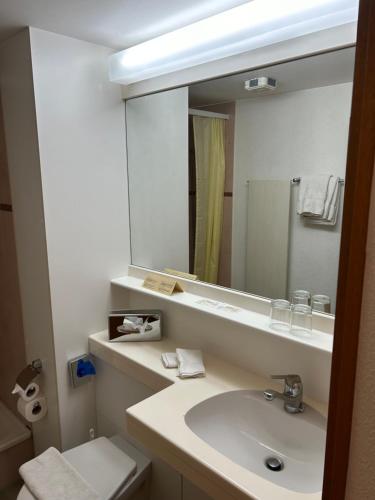 a bathroom with a sink and a mirror at Post Hotel Vista in Zweisimmen