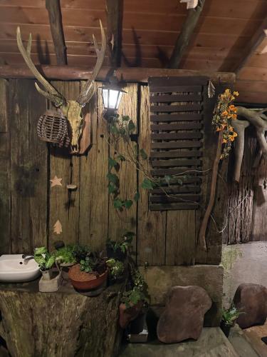 baño con cabeza de ciervo en una pared de madera en Villa 47, en Nuwara Eliya