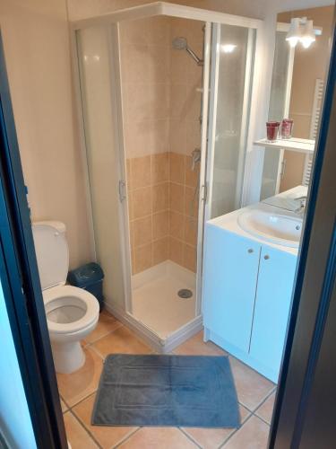 une salle de bain avec toilettes, douche et lavabo dans l'établissement Le Relais du Jardin, à Orbigny