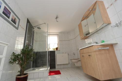 a bathroom with a shower and a sink and a toilet at Ferienwohnung Both in Wernigerode