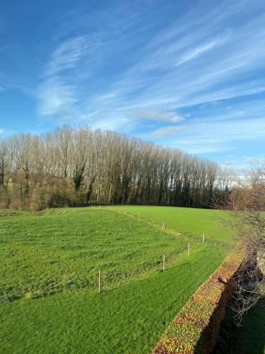 a large green field with trees and a fence at Huis Potaerde, vakantiewoning op boerderij - luxe landhuis nabij Brussel in Merchtem