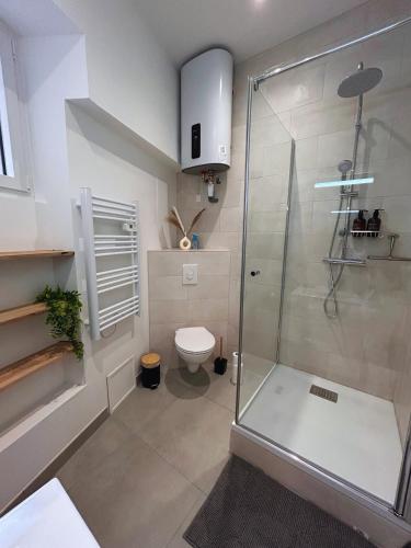 une salle de bain avec douche et toilettes dans l'établissement Le Cocon Citadin, à Millau