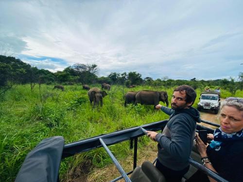 Zwei Menschen sehen sich eine Elefantenherde an. in der Unterkunft Minneriya Jeep Safari in Habarana