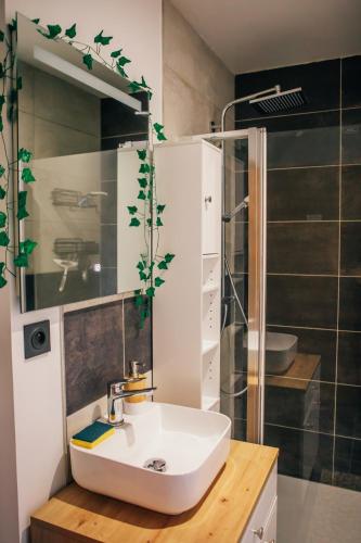 une salle de bain avec un lavabo et une douche dans l'établissement Appartement à Taninges, à Taninges