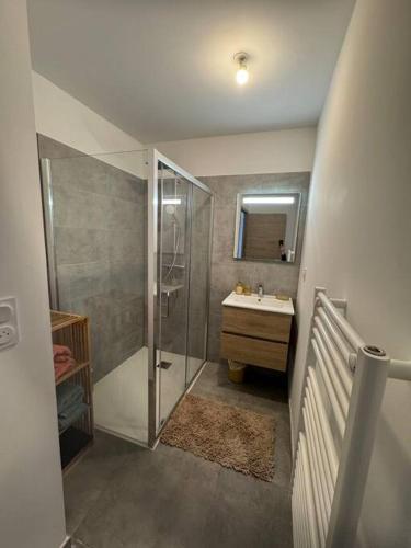 une salle de bain avec douche et lavabo dans l'établissement Maison Joepolly corsica, à Bonifacio