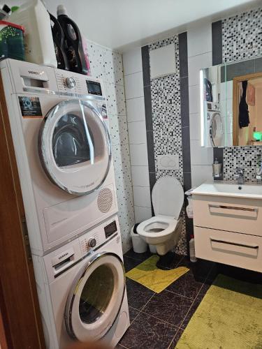 uma casa de banho com uma máquina de lavar roupa e um WC em Standard room em La Chaux-de-Fonds