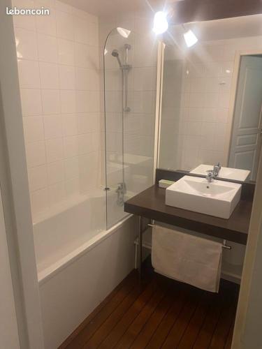 une salle de bain avec un lavabo, une douche et une baignoire dans l'établissement Vacances ou CNPE - Appart 2-3 pers - le Relais du Plessis - RICHELIEU, à Chaveignes