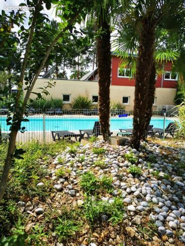 un parc avec deux arbres et une piscine dans l'établissement Vacances ou CNPE - Appart 2-3 pers - le Relais du Plessis - RICHELIEU, à Chaveignes