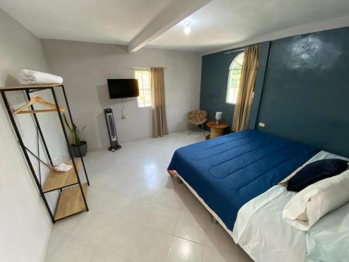 a bedroom with a blue bed and a television at Habitación cerca del aeropuerto #2 in La Paz
