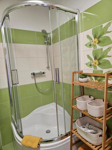 a shower in a bathroom with green and white tiles at Spreewald Ferienwohnung Lübben in Lübben