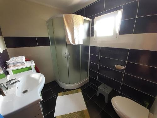a bathroom with a sink and a shower and a toilet at CAMPING ZELENI GAJ (GREEN FOREST) in Pluzine