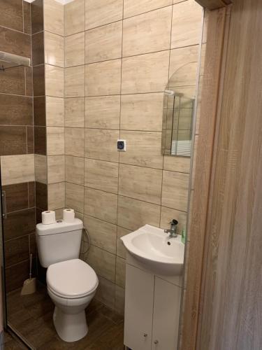 a bathroom with a toilet and a sink at Zajazd Jagoda Pokoje i Restauracja 