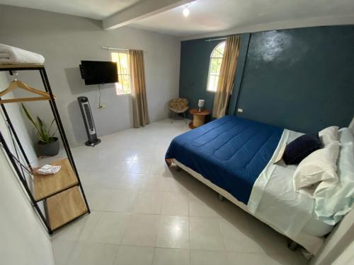 Habitación cerca del aeropuerto #2 في La Paz: غرفة نوم بسرير ازرق ومرآة