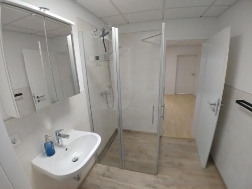 a bathroom with a sink and a glass shower at Monteur- und Ferienwohnung Gemmer 63qm in Herold