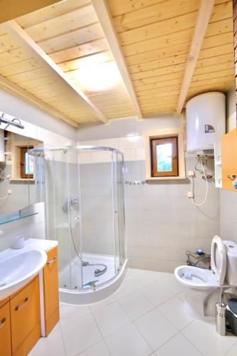 a bathroom with a shower and a sink at Domek Pod Lasem in Pozezdrze