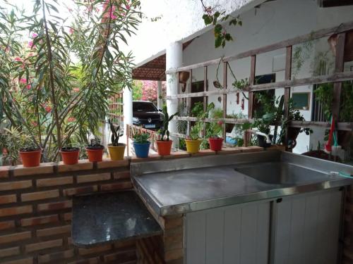 a kitchen with a sink and a bunch of potted plants at Casa Azul in Cascavel