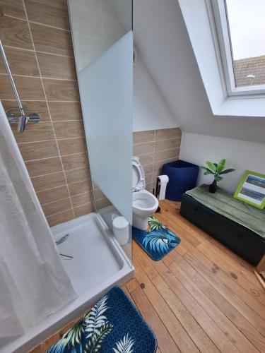 une salle de bain avec douche et toilettes dans l'établissement Cottage Romy Siouville Hague, à Siouville