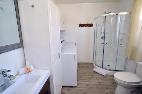 a white bathroom with a shower and a toilet at Chalet Du Marais in Saint-Paulin