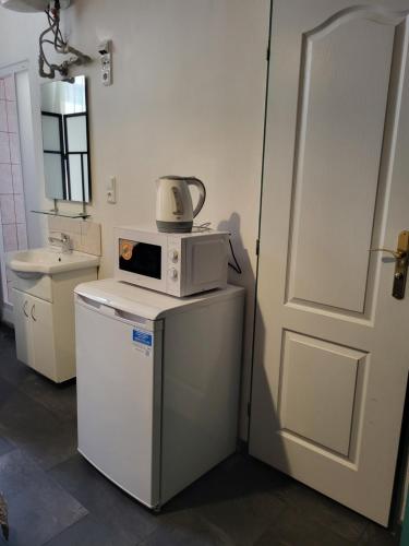 a microwave sitting on top of a refrigerator next to a door at Sunfower Prague Suites in Prague