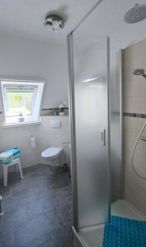 a bathroom with a shower and a toilet and a sink at Haus Erika in Prerow