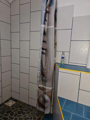 eine Dusche mit Vorhang im Bad in der Unterkunft Maison vue mer à 200 M de la plage Corn Ar Gazel in Saint-Pabu
