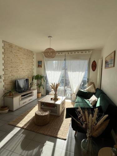 ein Wohnzimmer mit einem Sofa und einem TV in der Unterkunft Appartement T2 cosy et calme in Bayonne