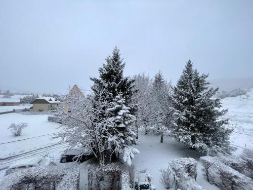 un groupe de pins recouvert de neige dans l'établissement Studio cabine chaleureux, à Corrençon-en-Vercors