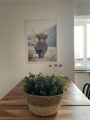 a dining room table with a picture of a bull at Moderno Apartamento cerca del metro in Bilbao