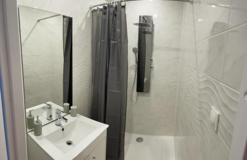 a white bathroom with a shower and a sink at Studio agréable in Le Havre