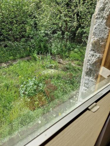 a window with a view of a field of grass at Naturnahes Wohnen in einem alten Haus mit Garten in Windeck