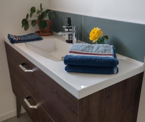 un lavabo de salle de bain avec deux serviettes et un vase avec une fleur dans l'établissement Le Chêne Olivet, à Olivet