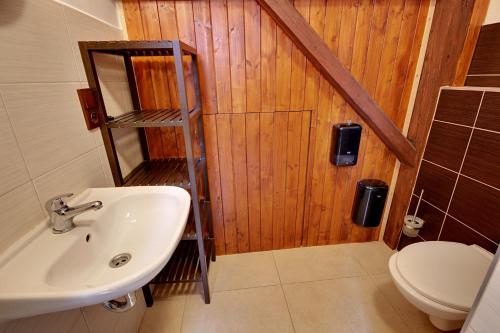 La salle de bains est pourvue d'un lavabo et de toilettes. dans l'établissement Chalupa Chlum Míša, à Volary