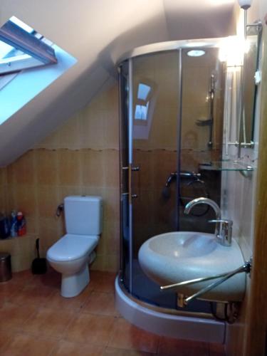 a bathroom with a toilet and a glass shower at Orkana44F in Mszana Dolna