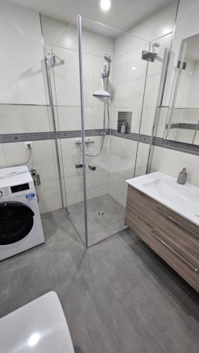 een badkamer met een douche en een wastafel bij Ferienwohnung am Schwanenteich in Bad Klosterlausnitz