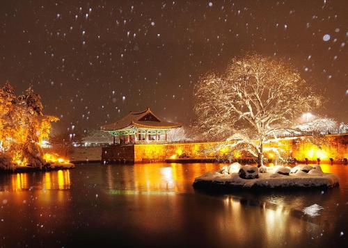 a group of animals on an island in the water at night at Gyeongju Bee House in Gyeongju