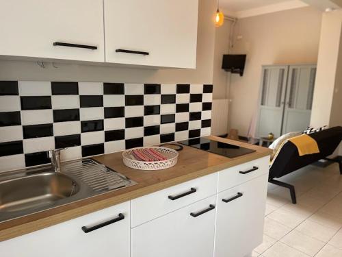 een keuken met een wastafel en een geruite muur bij Les hyacinthes 2 in Sarlat-la-Canéda