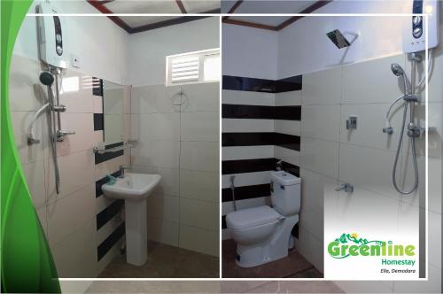 two pictures of a bathroom with a toilet and a shower at Greenline Homestay in Demodera