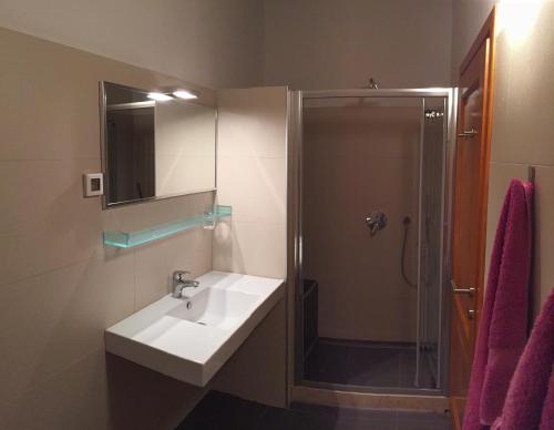 Villa Gornje Baredine 12にあるバスルーム