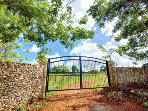 a gate in a stone wall with a field behind it at Finca Jasmat in Cabrera