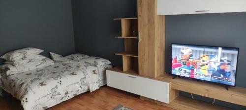 a bedroom with a bed and a flat screen tv at Apartament în regim Hotelier in Cavnic