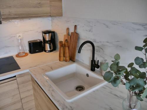 un comptoir de cuisine avec un évier dans une cuisine dans l'établissement Vue mer et St Tropez 2 chambres wifi-climatisation piscines, à Grimaud