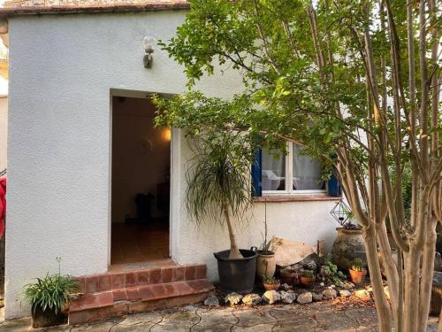 une porte menant à une maison avec un arbre dedans dans l'établissement Mazet avec jardin, à Saint-Bauzille-de-Putois