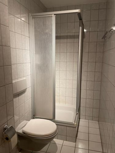 uma casa de banho com um WC e um chuveiro em Pension Sandsteinhöhle em Walldorf