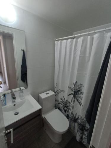 uma casa de banho com um WC, um lavatório e uma cortina de chuveiro em Departamento Ines de Suarez, La Florida em Santiago