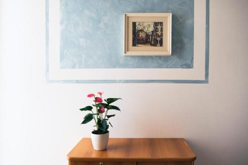 a potted plant on a wooden table under a painting at Hotel Cheri in Rimini
