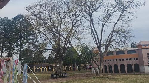 un parque con un árbol y un edificio en Bungalows vista alegre, en Montoro