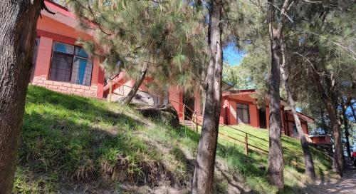 an orange house on a hill with trees at Bungalows vista alegre in Montoro