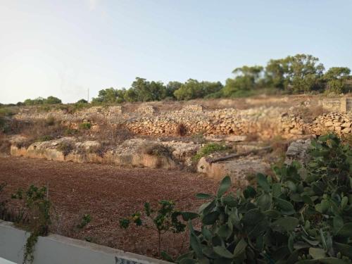 a field with a stone wall and a dirt field at Poppy Court in Marsaskala